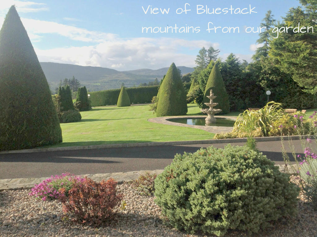 Arches Country House Donegal Town Bagian luar foto